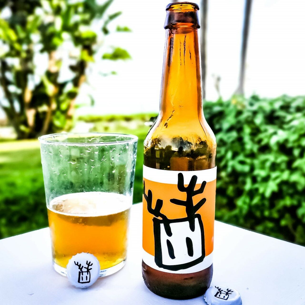 Hoppy IPA Bonvivant Beer | Craft beer in Malaga, Spain | Craft Beer Nomads