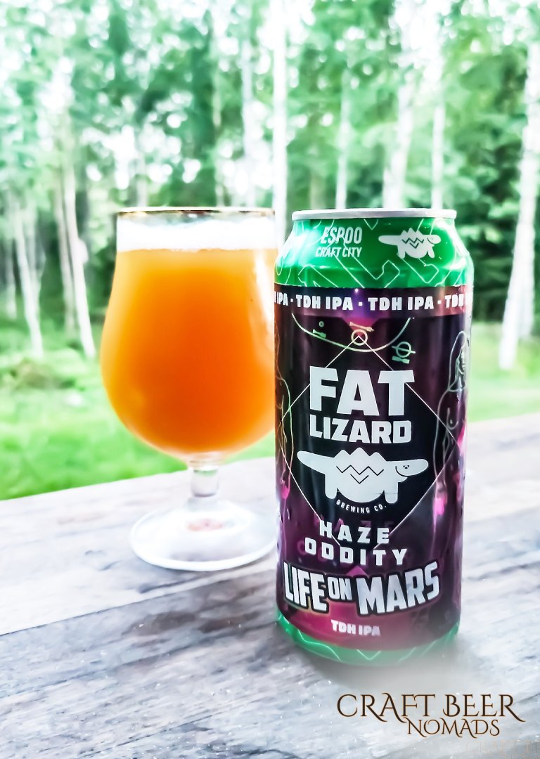 Fat Lizard Life on Mars IPA