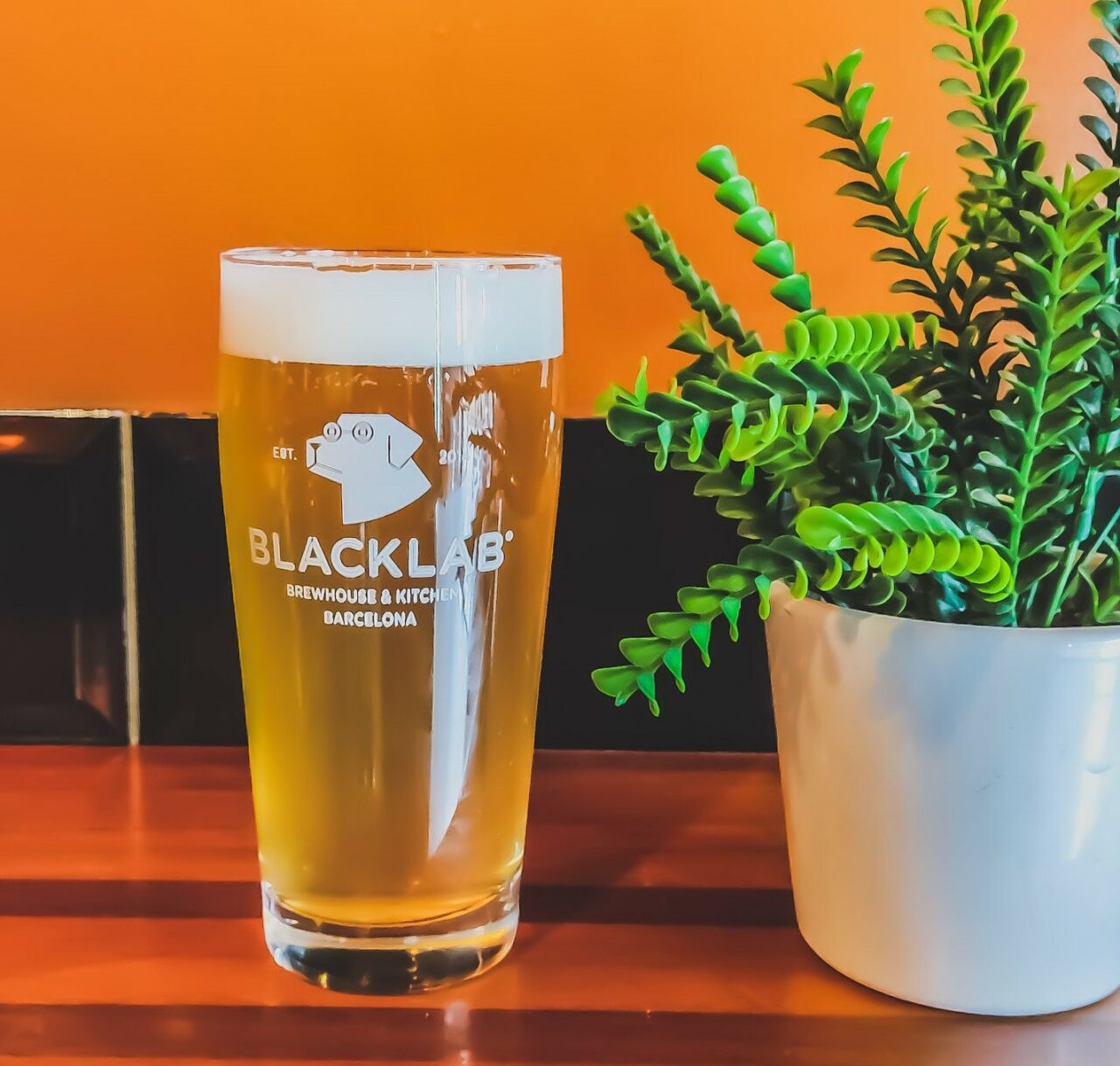 Craft beer in Barcelona: BlackLab Craft beer by BlackLab | Craft beer in Barcelona: BlackLab | Craft Beer Nomads