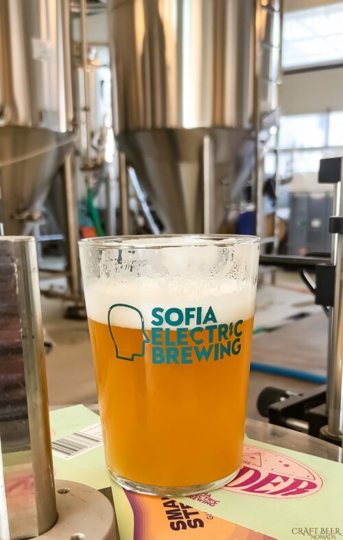 Kisel Goze by Sofia Electric Brewing