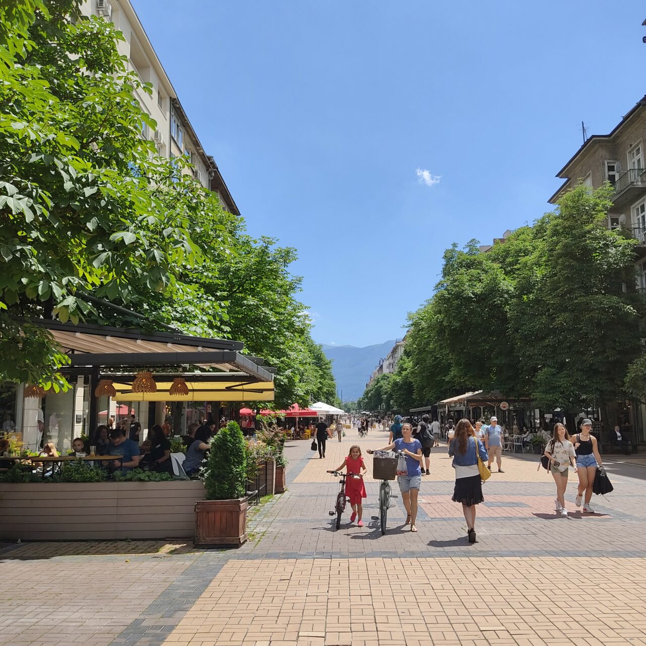 Craft beer in Bulgaria: Introduction Vitosha Boulevard, Sofia, Bulgaria