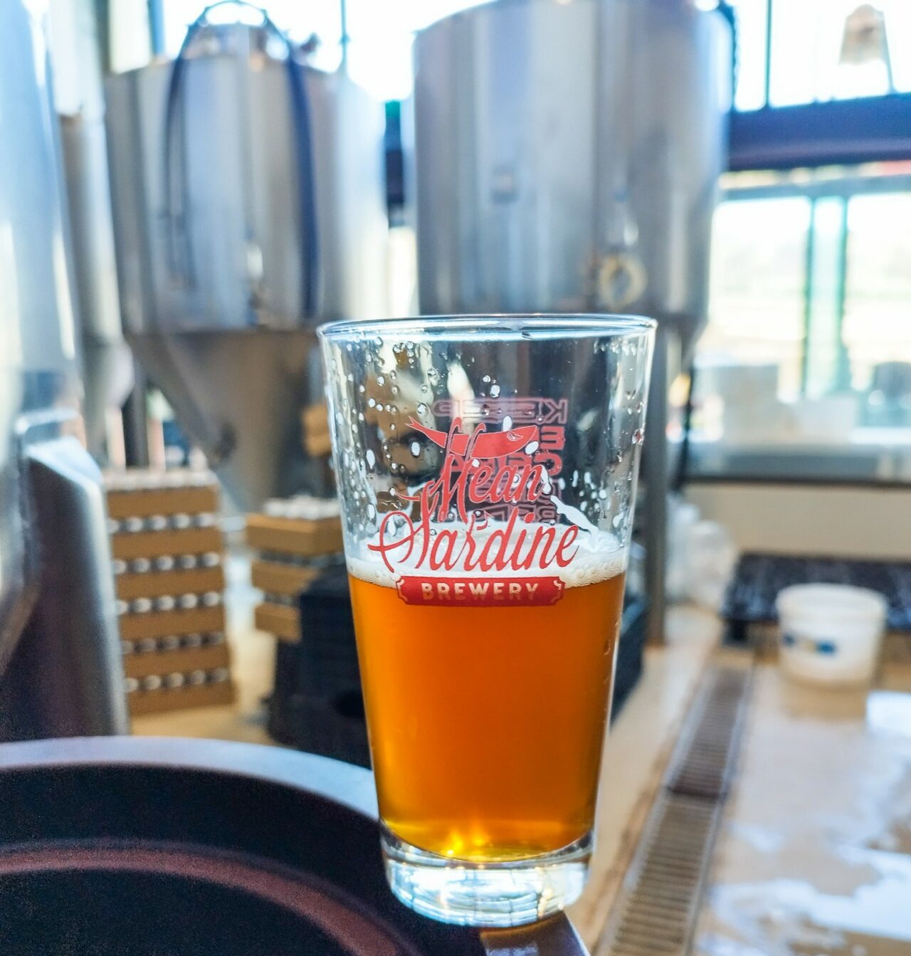 Microbreweries in Portugal: Mean Sardine from Ericeira Tasting beer in the brewery | Mean Sardine brewery from Ericeira, Portugal | Craft Beer Nomads