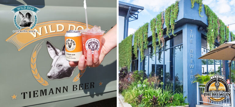 Craft beer in Zambia: Wild Dog and Rebel Beers Craft beer in Zambia: Wild Dog and Rebel Beers