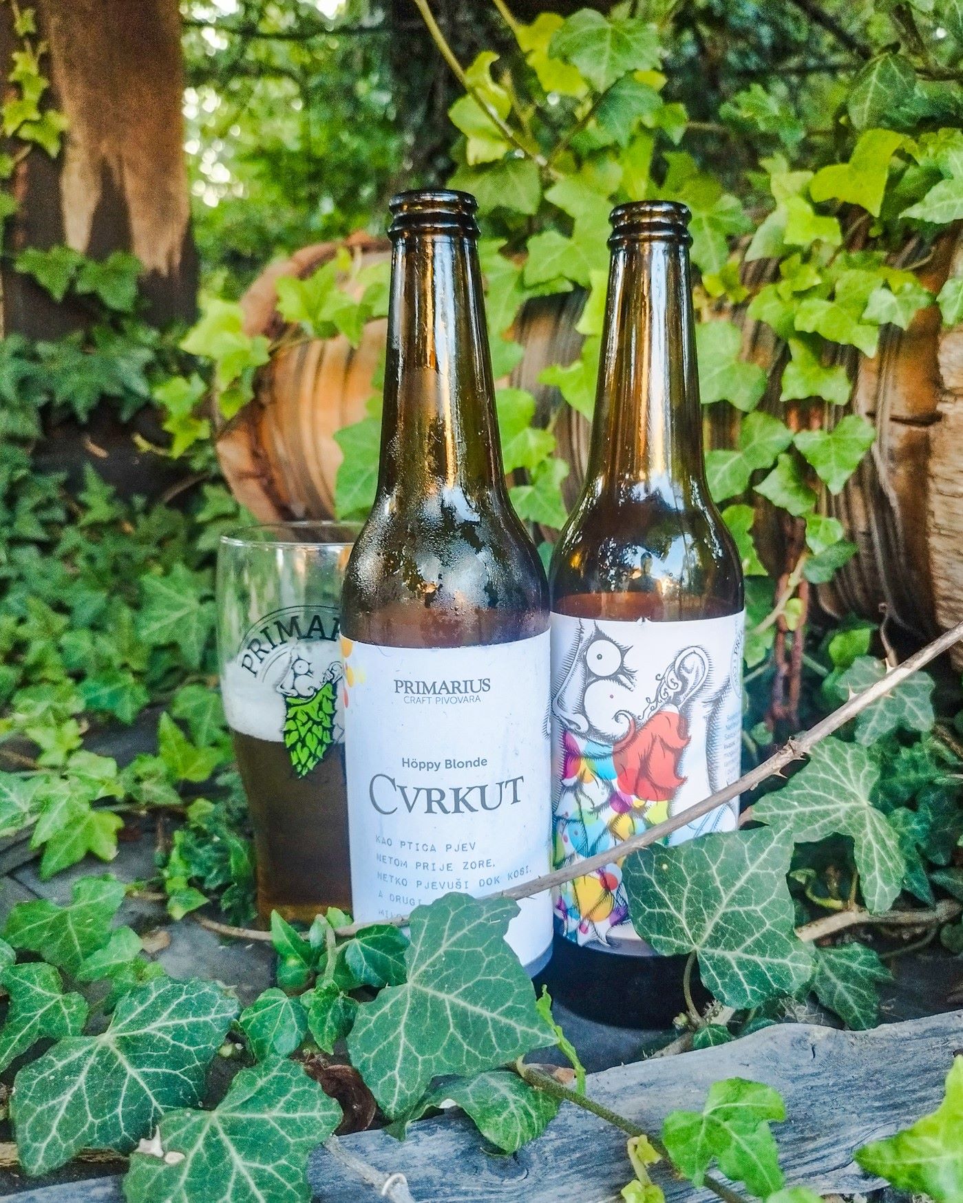Primarius - Cvrkut Blonde | Craft beer in Croatia: PriMarius Craft Pivovara | Craft Beer Nomads