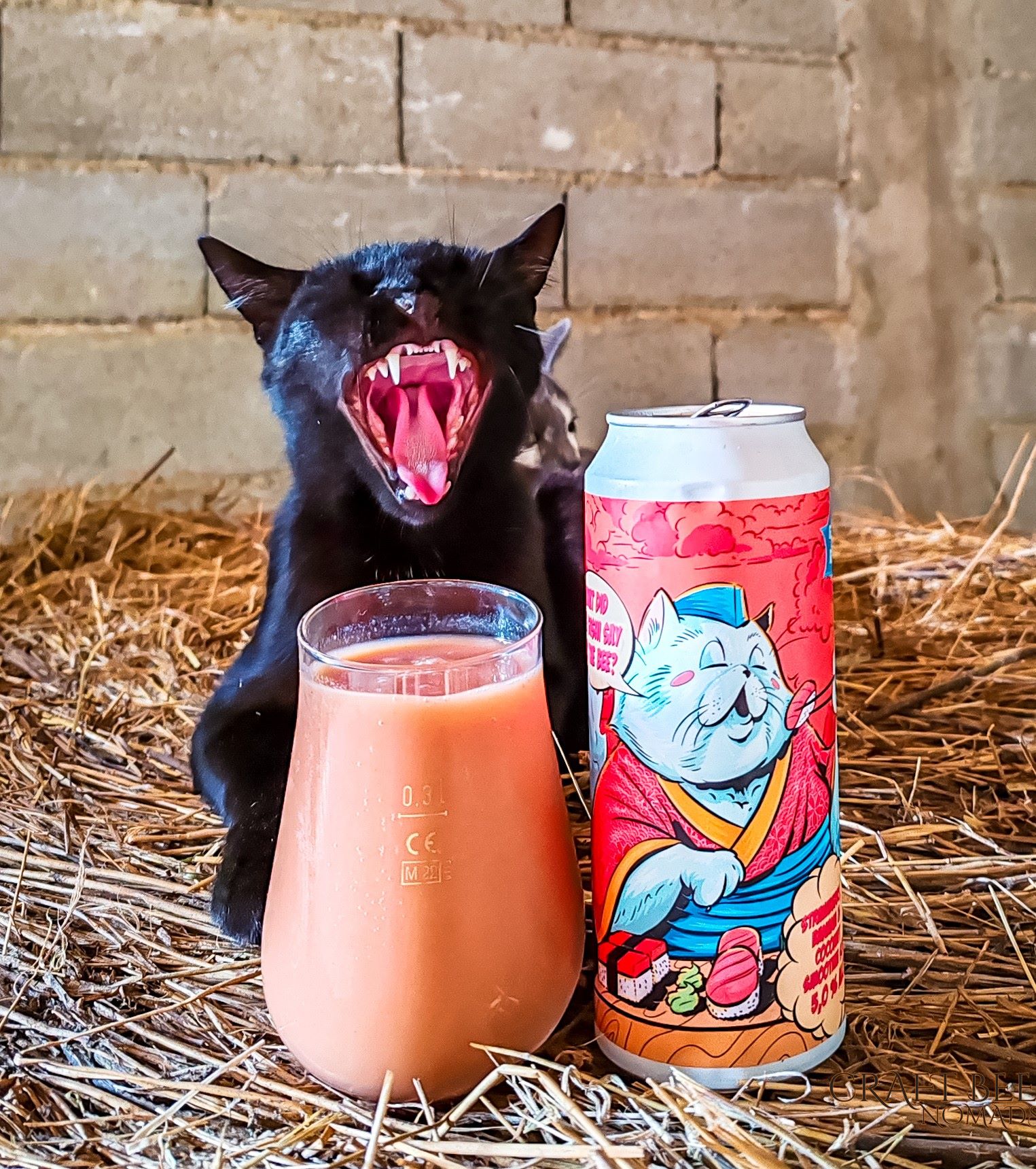 Pulfer Smoothie Sour | Pulfer Brewery | Craft beer in Croatia | Craft Beer Nomads