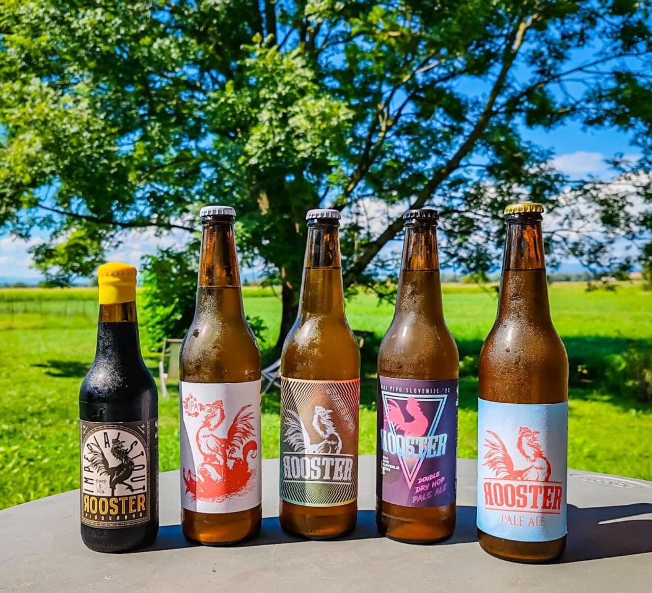Craft beer in Slovenia: Introduction Rooster Brewery craft beers Slovenia | Craft beer in Slovenia | Craft Beer Nomads