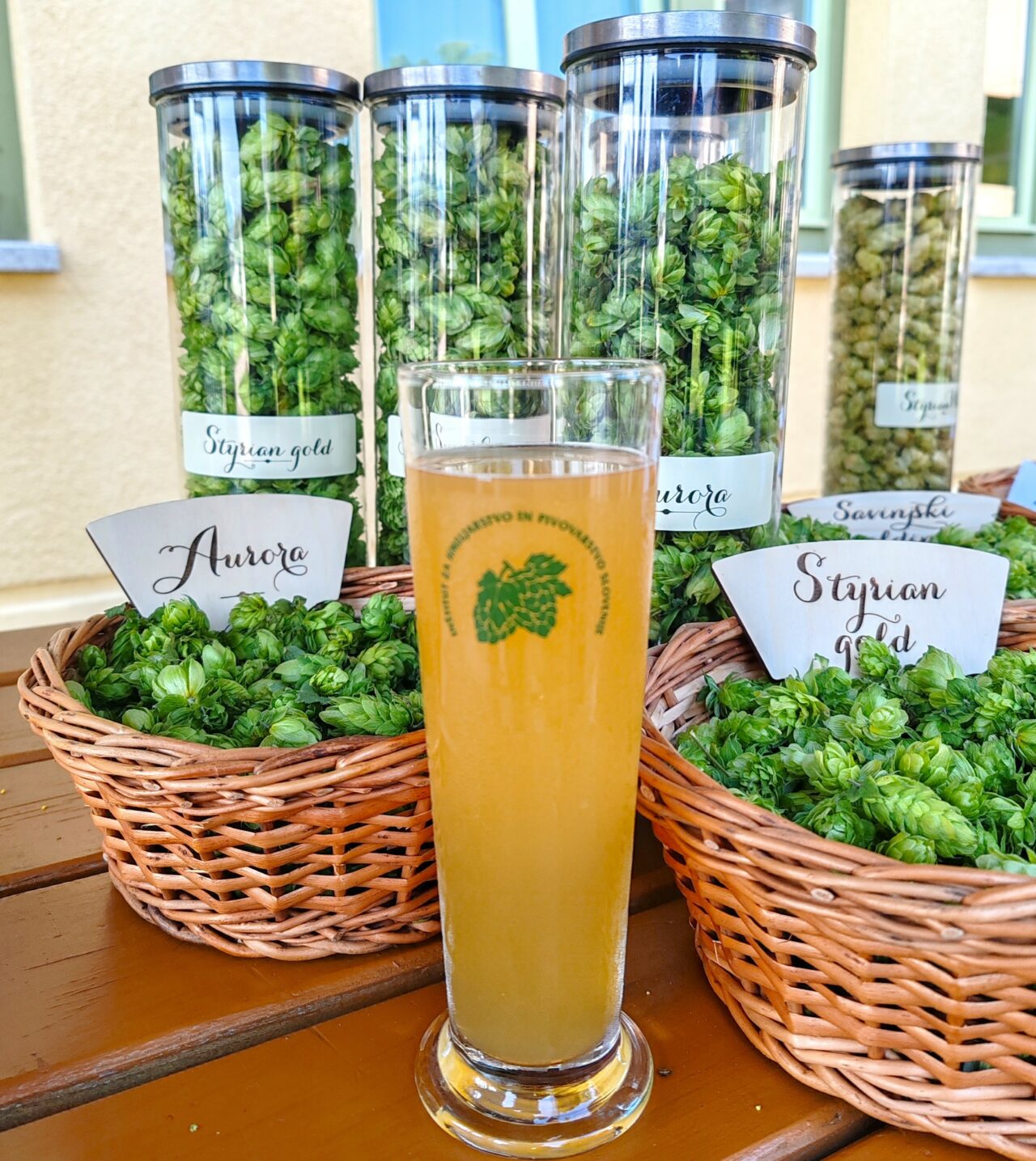 Craft beer in Slovenia: Introduction Slovenian Hop Institute | Craft beer in Slovenia | Craft Beer Nomads