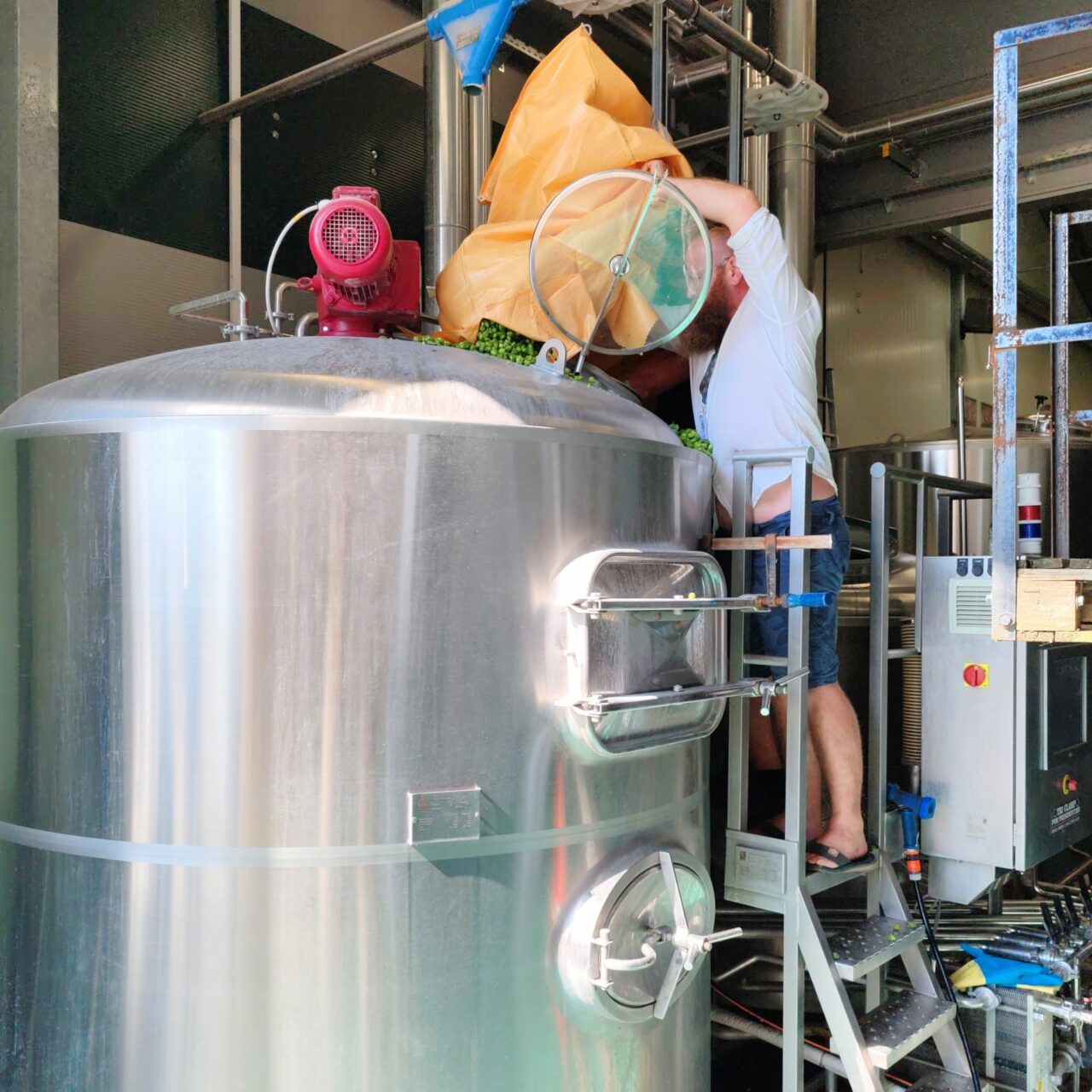 Craft beer in Slovenia: Introduction Wet hopping in Green Gold Brewing | Craft beer in Slovenia | Craft Beer Nomads