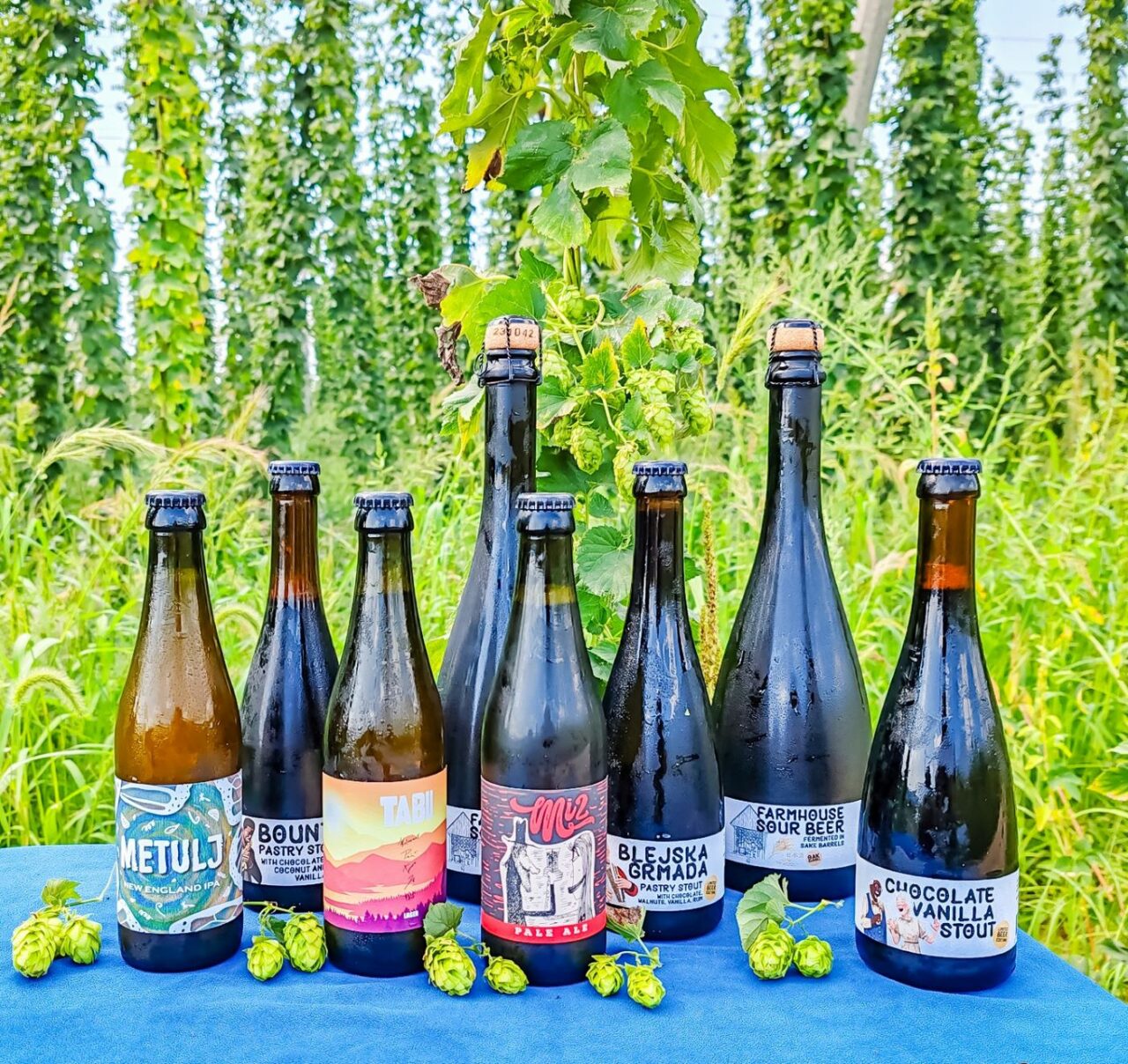 Craft beer in Slovenia: Green Gold and Clef brew amidst hop fields Clef Brewery craft beers | Craft beer in Slovenia: Green Gold and Clef brew in the middle of hop fields | Craft Beer Nomads
