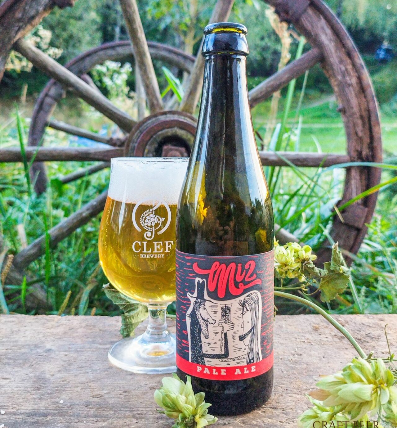 Craft beer in Slovenia: Green Gold and Clef brew amidst hop fields Celf Brewing Mi2 Pale Ale | Craft beer in Slovenia: Green Gold and Clef brew in the middle of hop fields | Craft Beer Nomads