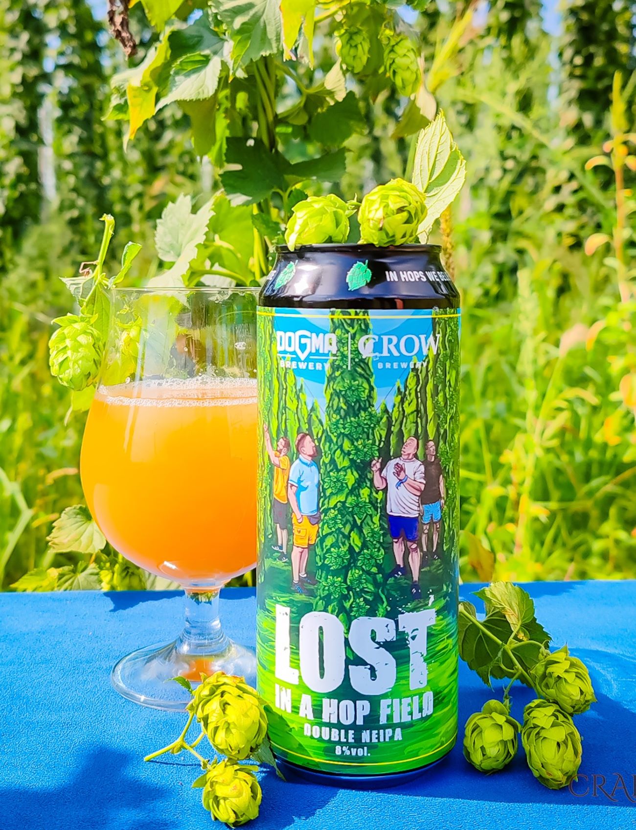 8th AB - Lost In A Hop Field Dogma Lost in a Hop Field Double IPA