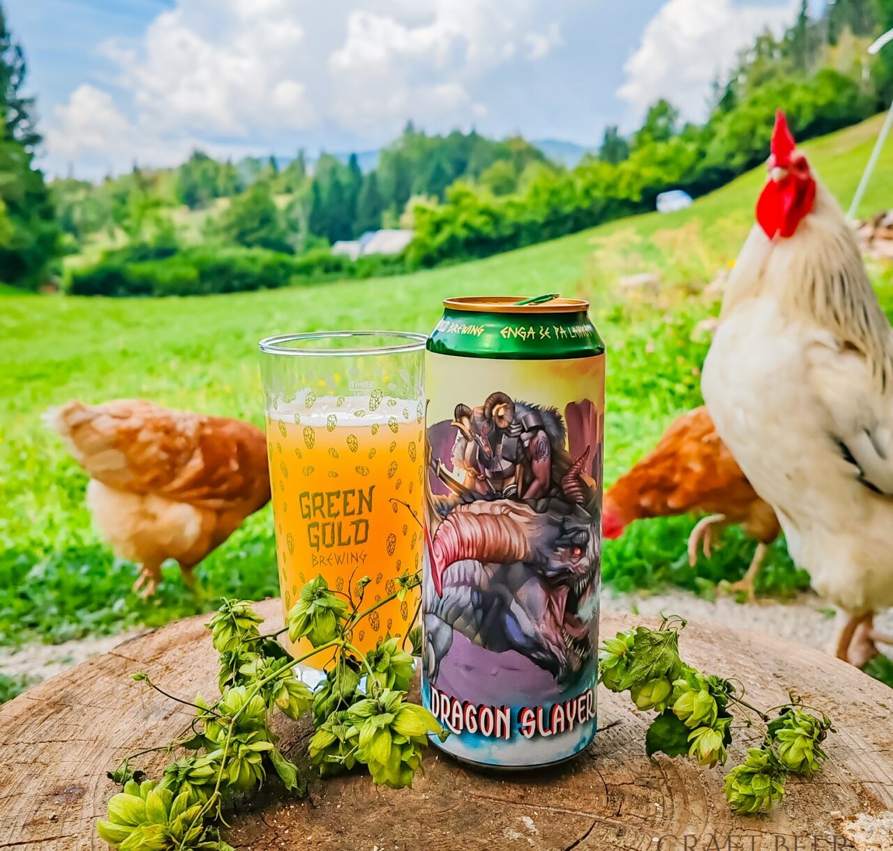 Craft beer in Slovenia: Green Gold and Clef brew amidst hop fields Green Gold Brewing Dragon Slayer | Craft beer in Slovenia: Green Gold and Clef brew in the middle of hop fields | Craft Beer Nomads