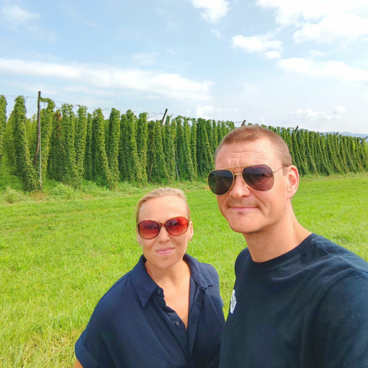 Craft beer in Slovenia: Green Gold and Clef brew amidst hop fields In Savinja Valley hop fields | Craft beer in Slovenia: Green Gold and Clef brew in the middle of hop fields | Craft Beer Nomads
