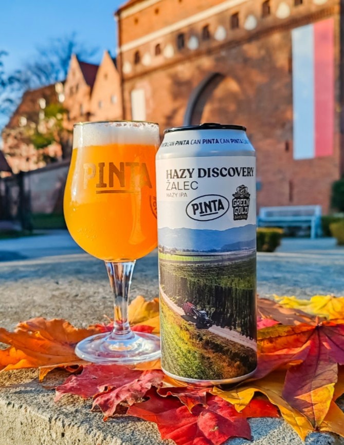 Hazy Discovery Žalec Pinta Hazy Discovery Zalec collab with Green Gold
