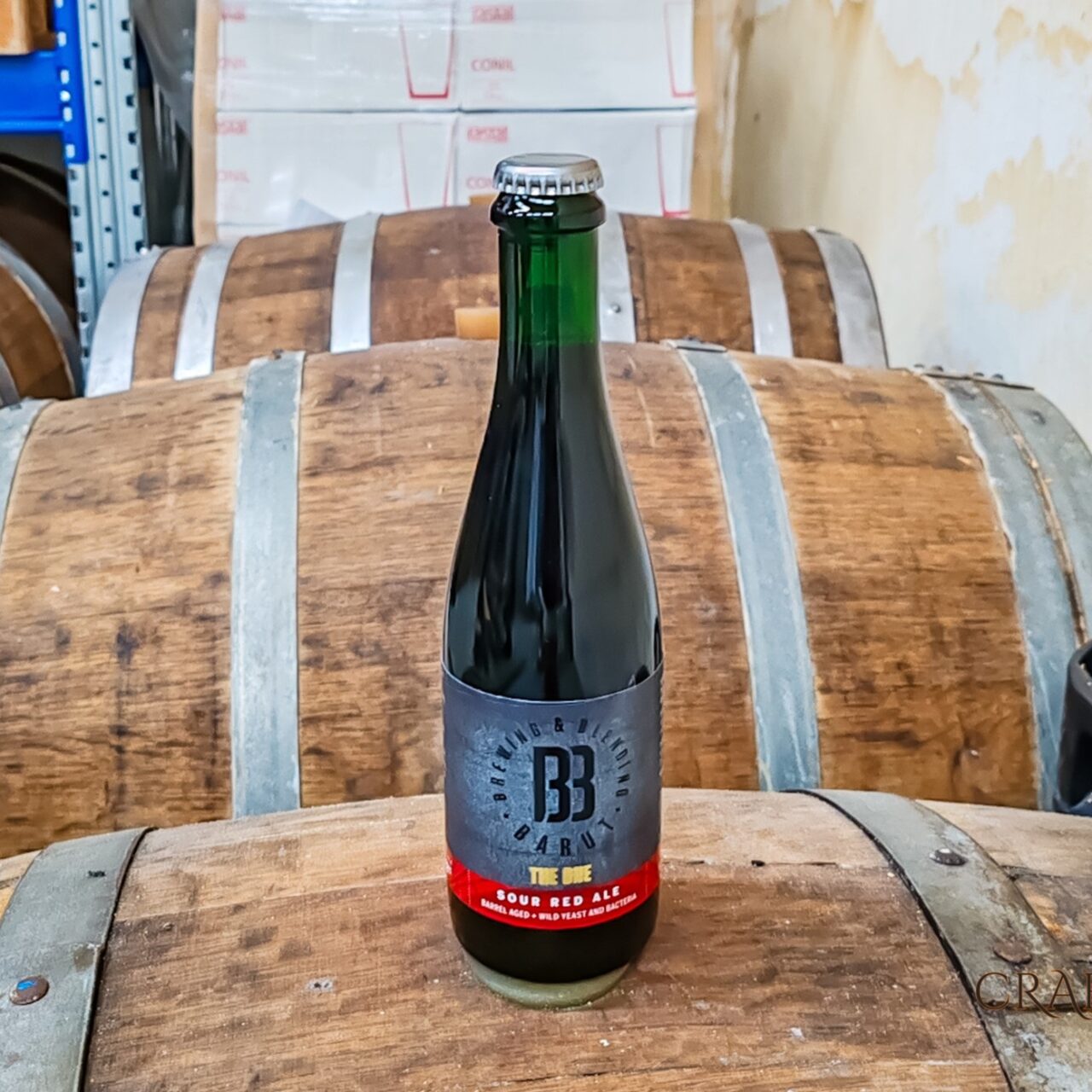 Craft beer in Slovenia: Kamnik is a brewing hotspot Barut Brewing and Blending | Craft beer in Slovenia: Microbreweries in Kamnik | Craft Beer Nomads