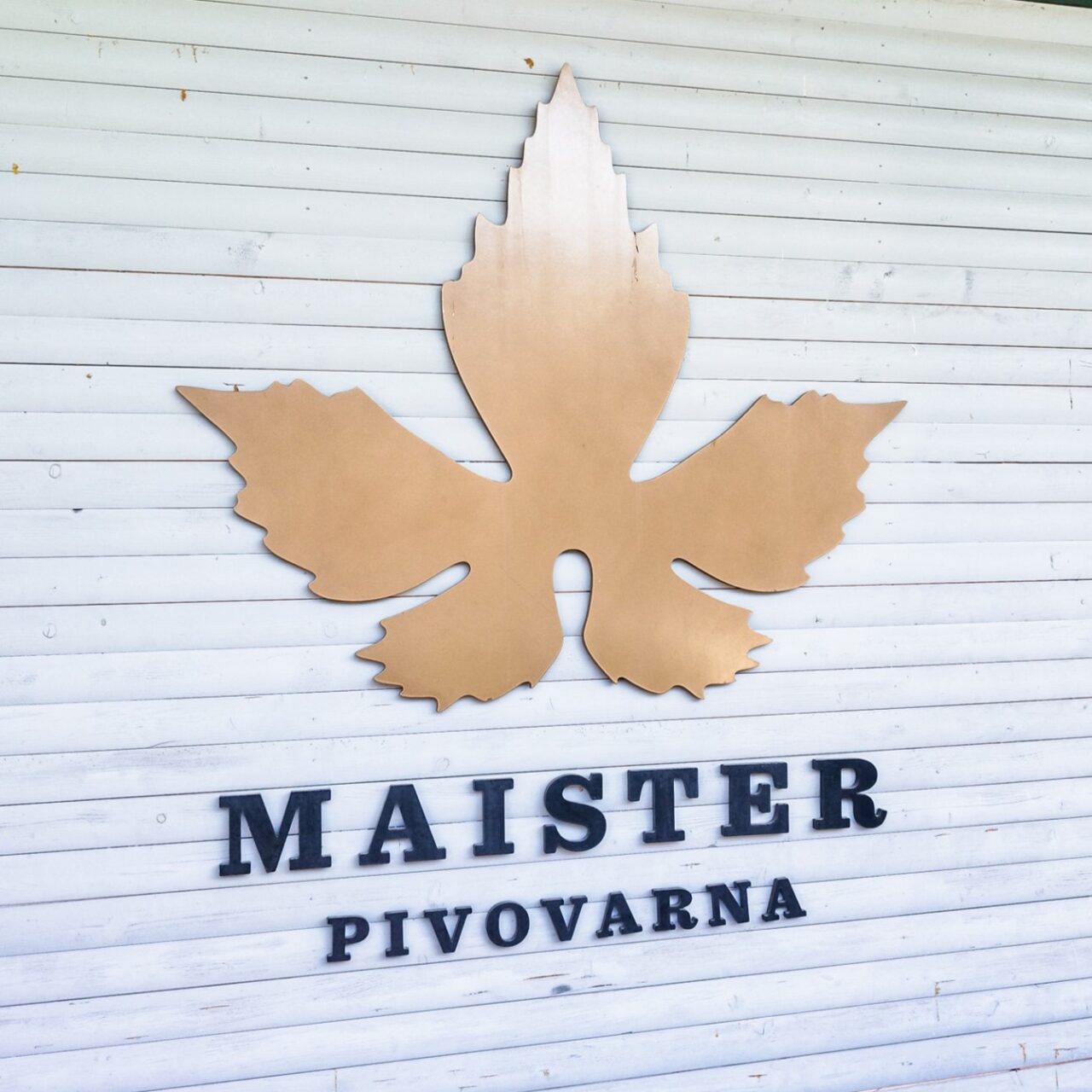 Craft beer in Slovenia: Kamnik is a brewing hotspot Maister Brewery | Craft beer in Slovenia: Microbreweries in Kamnik | Craft Beer Nomads