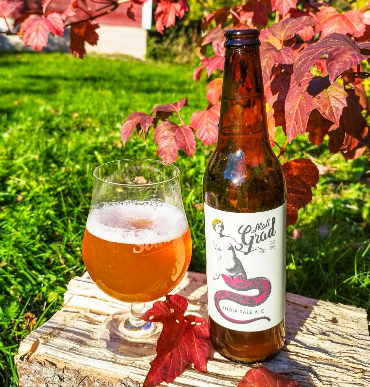 Craft beer in Slovenia: Kamnik is a brewing hotspot Mali Grad IPA | Craft beer in Slovenia: Microbreweries in Kamnik | Craft Beer Nomads