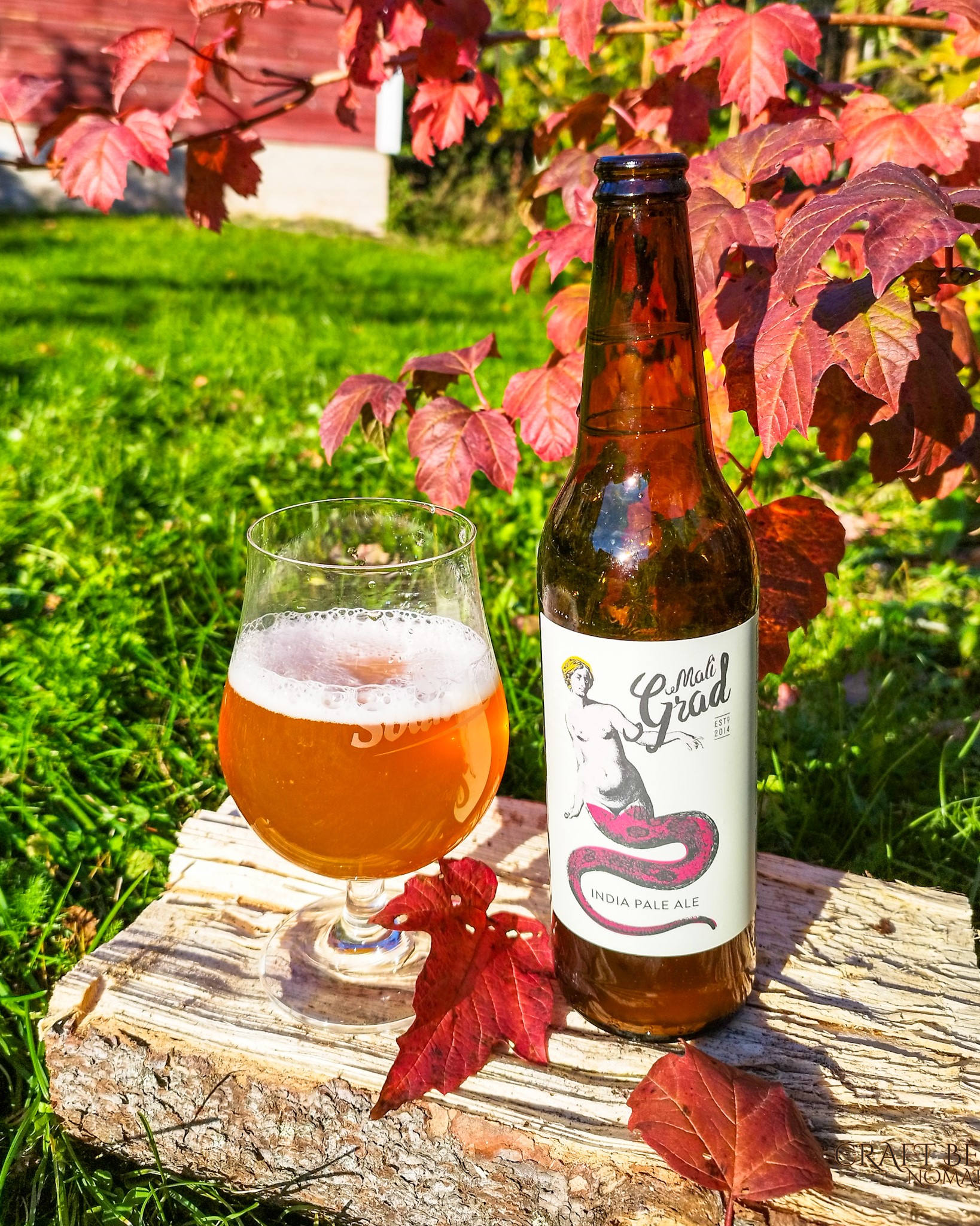 India Pale Ale by Mali Grad Brewery, Kamnik, Slovenia
