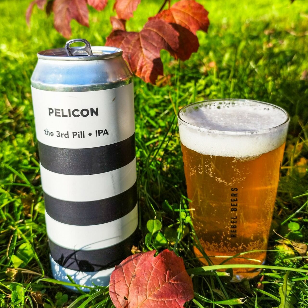 Craft beer in Slovenia: Reservoir Dogs and Pelicon Brewery Pelicon - 3rd Pill IPA | Craft beer in Slovenia: Reservoir Dogs and Pelicon Brewery | Craft Beer Nomads