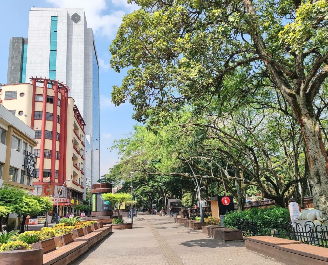 Craft beer in Colombia: Beer traveler's guide to Bogotá, Medellín and beyond Street view in Cali, Colombia | Craft beer in Colombia | Craft Beer Nomads