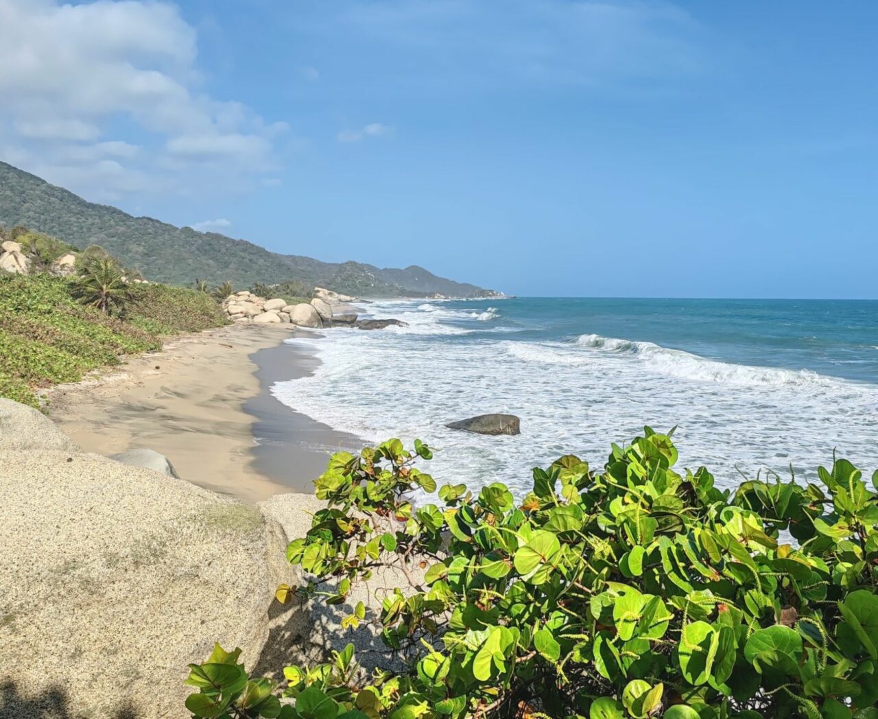 Craft beer in Colombia: Beer traveler's guide to Bogotá, Medellín and beyond Beach in Tayrona National Park Colombia | Craft beer in Colombia | Craft Beer Nomads