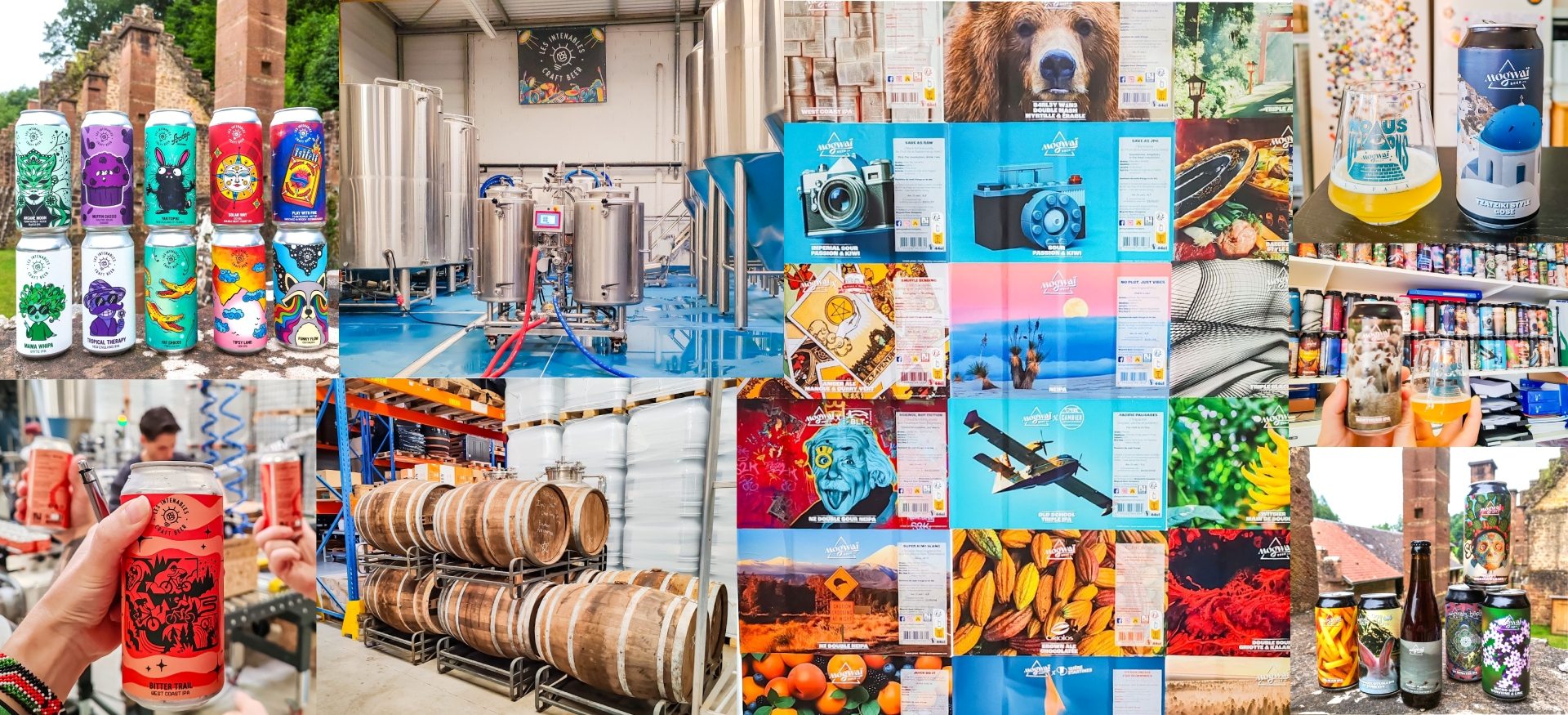 Craft beer in Alsace cover Les Intenables and Mogwai