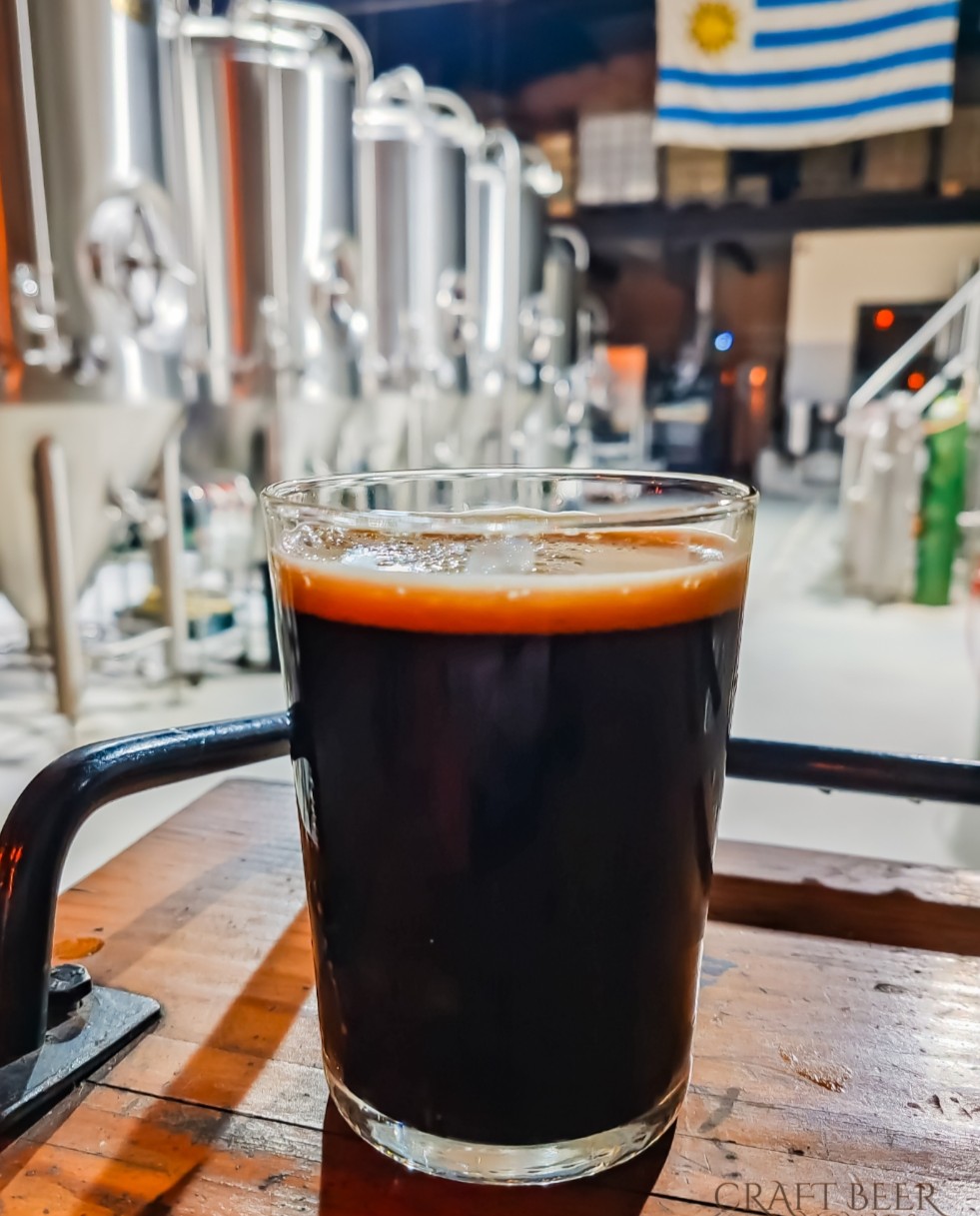 Guambia Stout, Malafama, Montevideo, Uruguay
