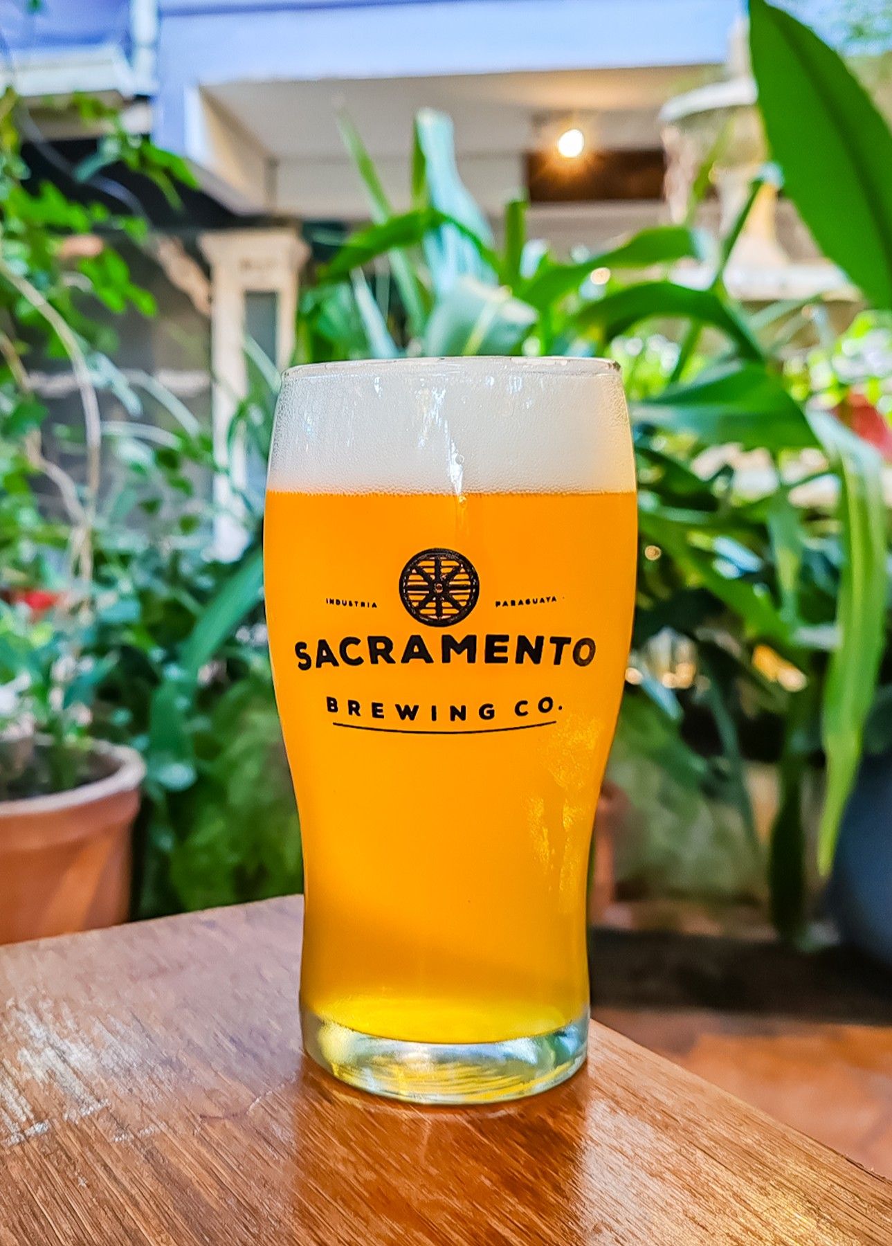 Sacramento IPA Paraguay