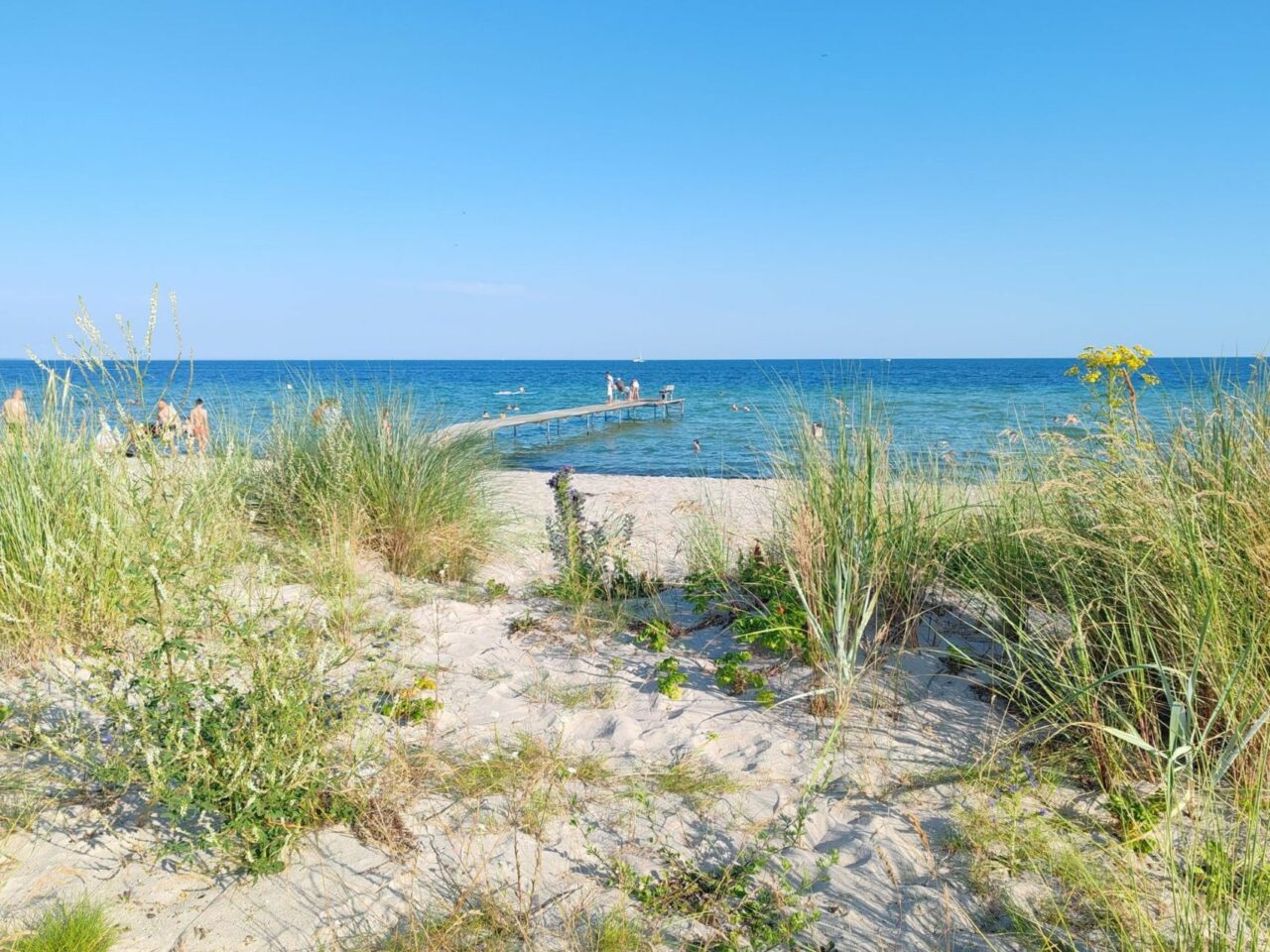 Coastal view in Själland, Denmark