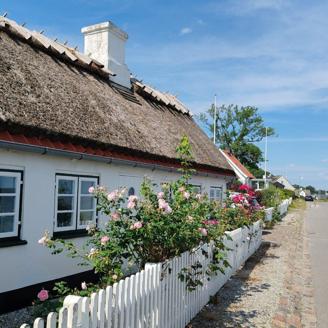 Beautiful house in Denmark