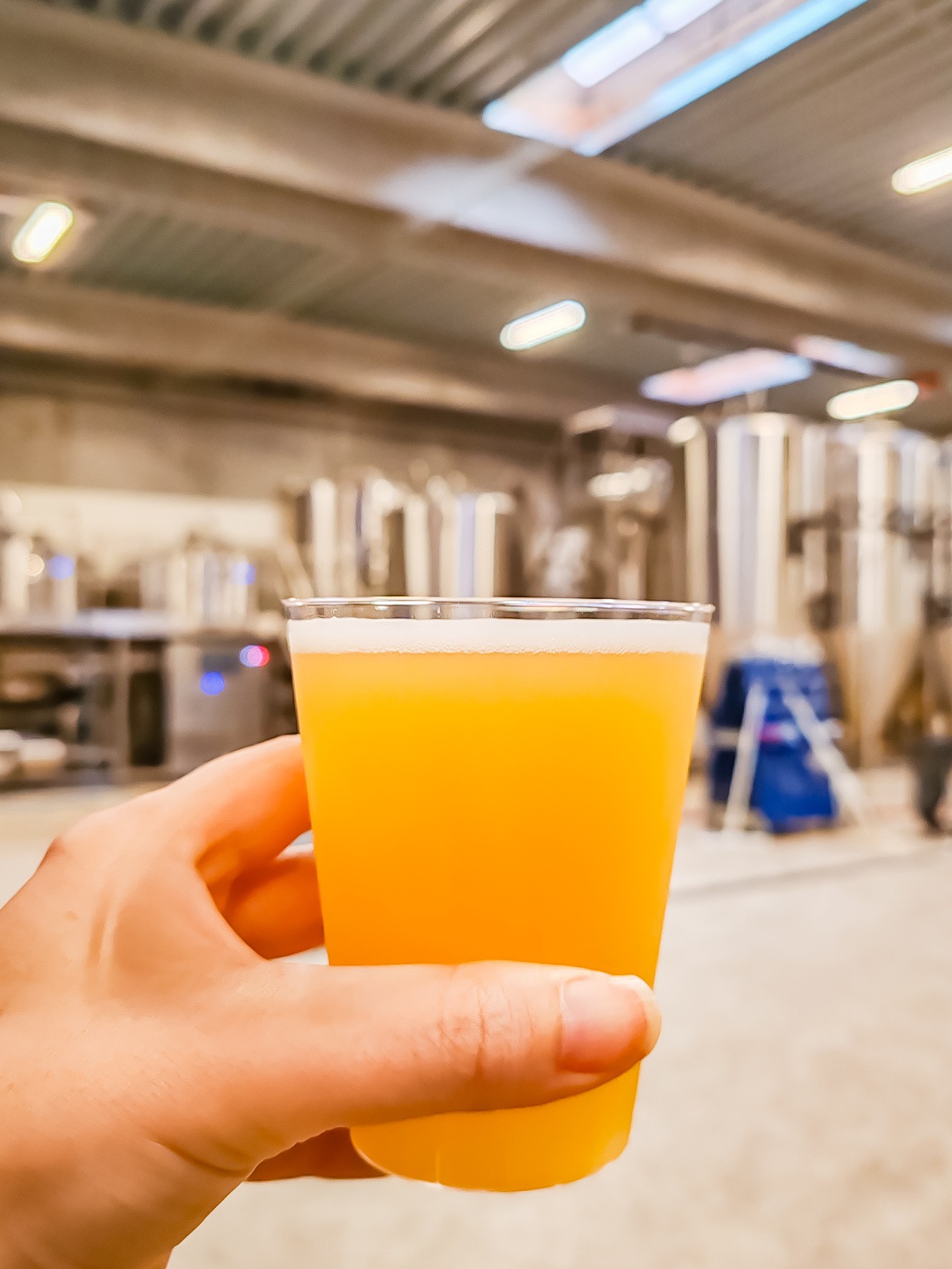 Freak Wave, Gamma | Craft beer in Denmark