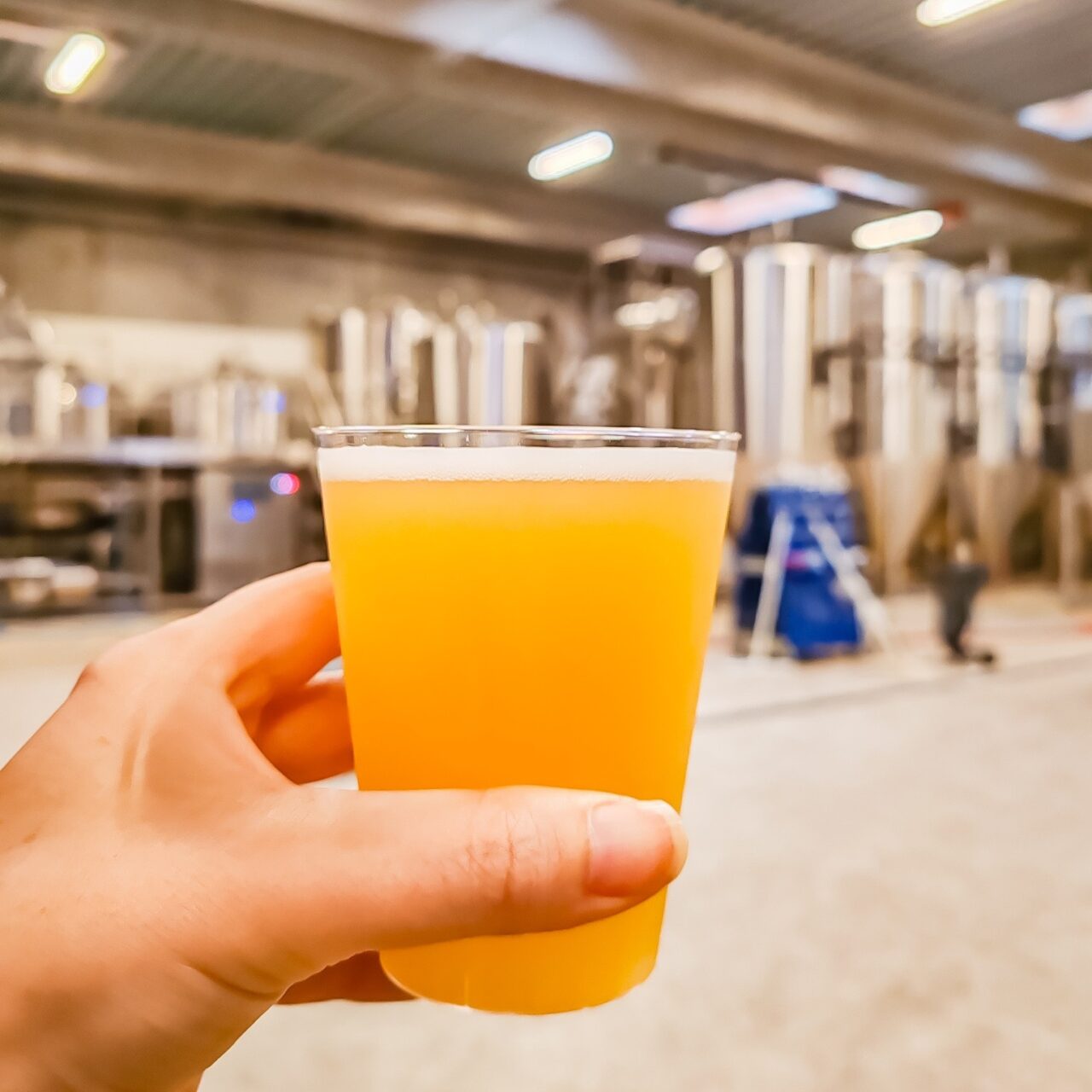 Gamma Brewing Company | Craft beer in Denmark | Craft Beer Nomads